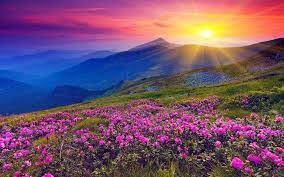 There are numerous other famous islands and some unique and daring islands. 50 Most Beautiful Places In India To Visit On A 2021 Vacation