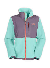 The North Face Women S Denali 2 Jacket Free Shipping Free Returns North Face Jacket Womens North Face Jacket Outlet Fleece Jacket Womens
