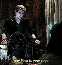 Pin By Daenerys Deserved Better On Tv Shows Peter Pan Ouat Robbie Kay Peter Pan Peter Pan Imagines
