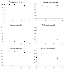 Image result for Wahlenbergia collomioides