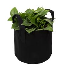 Maybe you would like to learn more about one of these? Yard Garden Outdoor Living Felt Plant Bag Container Garden Reusable Flowers Grow Bag Pot 2 3 5 7 10 Gallon Plant Care Soil Accessories