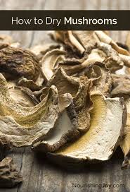 Learning how to dry mushrooms is easy. How To Dry Mushrooms Nourishing Joy