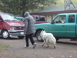 Contributions to the tribute of Meryl Anne Frank