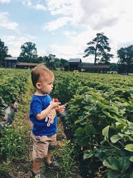 The same thing that connects it to every corner of north carolina: 35 Things To Do With Kids In Durham North Carolina Best Of The Bull