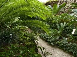 736 bewertungen und 840 fotos von reisenden. 100 Jahre Botanischer Garten Munchen Nymphenburg Bei Uns Dahoam