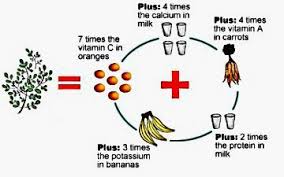 moringa vitamin chart permaculture miracle tree moringa