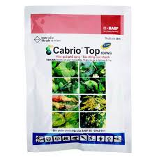 Cabrio Top 600WG.
