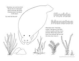 Manatee Coloring Pa Coloring Pages Manatee Color