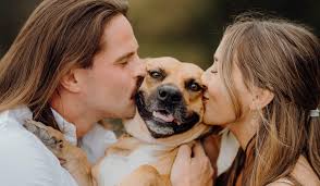 Lori Bruce and Hayden Coady's Wedding Website