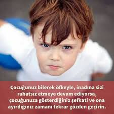 Mevsim Bahar Adli Kullanicinin Cocuk Egitimi Cocuk Psikolojisi Panosundaki Pin Ebeveyn Olmak Ebeveynlik Egitim