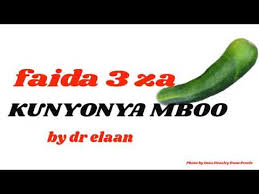 Njia ya kumtongoza mwanamke awe mpenzi wako home · about · contact: Faida 3 Za Kunyonya Mboo Youtube
