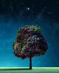 Pin By Hale Karatas On Kuzey Yildizi Backgrounds Phone Wallpapers Screen Wallpaper Home Screen Wallpaper Hd