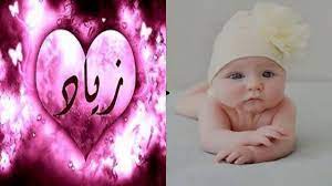 معنى اسم زياد زياد زاد يزيد معانى الاسماء