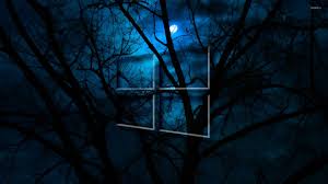 Windows 10 wallpaper free download 4k backgrounds and themes. Nature Ultra Hd Windows 10 Wallpaper Hd 1920x1080