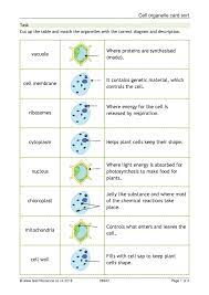 Animal and plant cells ks3 lesson. Ks3 Cells Teachit Science
