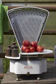 Unterstutz Die Tomate Werde Tomatenretter Tastesheriff Tomaten Sorten Essen Susse Rezepte