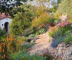 This Planting Guide Solves All Of Your Sloped Garden Problems Sloped Garden Succulent Landscape Design Succulent Landscaping