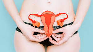 The three female parts of a plant are called the stigma, style and ovary. Female Reproductive Organs Anatomy And Function