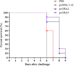 Bmp eps gif hdr/exr ico jpg png svg tga tiff wbmp webp. Evaluation Of The Protective Effect Of Deoxyribonucleic Acid Vaccines Encoding Granule Antigen 2 And 5 Against Acute Toxoplasmosis In Balb C Mice In The American Journal Of Tropical Medicine And Hygiene Volume 96 Issue 6 2017