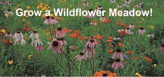 April 2, 2021 by kristie sawicki leave a comment. Wildflower Farm