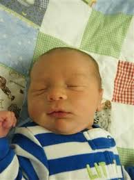 AMMC › Virtual Nursery