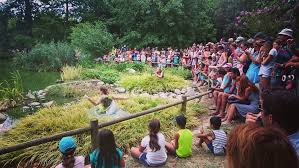 Le Jardin Des Plantes Propose De Nombreux Concerts Et Spectacles Tout Au Long De L Ete Spectacle Jardindesplantes Saintc Cyprien Plante Jardin St Cyprien