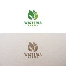 48 Ide Logo Daun Desain Logo Daun Desain