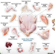I'm in malaysia for work/holiday. Why Are Malaysians Talking Like Doraemon On Social Media