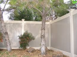 Movement along the iron fence. Can You Plant Trees Along Your Fence Line