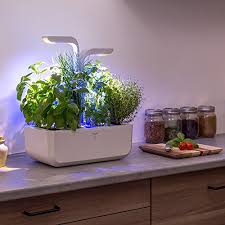 Des appareils design et facile d'entretien pour la culture et le jardinage. Le Meilleur Potager D Interieur En 2021 Comparatif Guide Et Avis Achetezlemeilleur Com Achetez Mieux Et Moins Cher