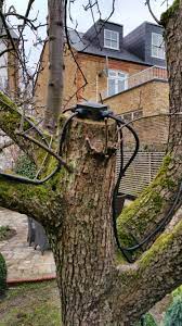 Pin On Bad Garden Lighting Installations Shocking