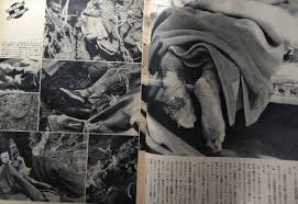 日航機墜落現場地獄図の真実秋吉久美子も目撃した惨状未公開資料