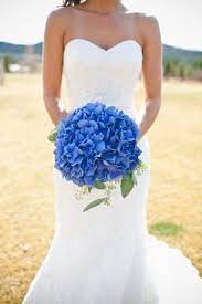 Nothing Found For Blog Wp Content Uploads 2012 05 Beth Mark 10 21 11 1241 Jpg Blue Hydrangea Wedding Blue Hydrangea Bridal Bouquet Blue Wedding Bouquet