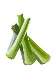 Celery Clip Art At Clker Com Vector Clip Art Online Royalty Free Public Domain