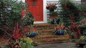 Here's everything you bag of potting mix for containers: The Best Winter Containers From Outdoor Planters To Window Boxes Finegardening