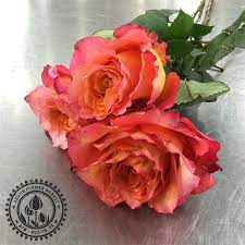 Austin 8314 daffan lane austin, tx 78724 phone: Austin Same Day Flower And Gift Delivery