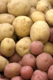 Seed potatoes are potatoes specifically sold for planting, rather than cooking and eating. Potatoes What Is The Best Way To Store Potatoes Sara Moulton