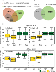 In our practice, we have found that using our knowledge to address the genetic individuality and specifically the methylation cycle is very helpful in getting many patients on a path to wellness. Identification Of Human Genetic Variants Controlling Circular Rna Expression Biorxiv