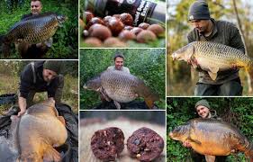 3 аарон рэмси (апц) уэльс 3. Wunderkoder Beim Karpfenangeln Karpfenmagazin Twelve Ft
