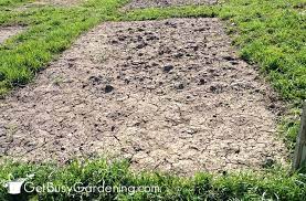 We did not find results for: How To Prepare A Garden Bed For Planting Vegetables Get Busy Gardening
