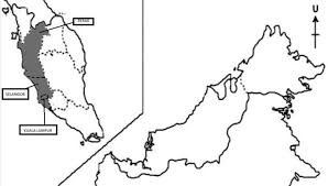 Kembiri kucing murah kl / selangor. An Exploratory Study On Risk Factors For Chronic Non Communicable Diseases Among Adolescents In Malaysia Overview Of The Malaysian Health And Adolescents Longitudinal Research Team Study The Myheart Study Bmc Public Health