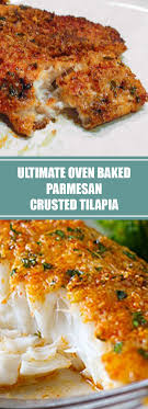 79 Reviews Ultimate Oven Baked Parmesan Crusted Tilapia This Easy Oven Baked Parme Tilapia Recipes Easy Baked Tilapia Recipes Parmesan Crusted Tilapia