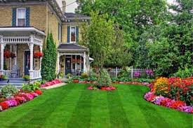 Essential Lawn Care Tips for a Lush, Green Yard All Year Long | Conway Lawn  Care