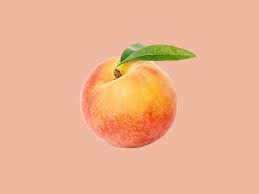 25 Tips to Enjoy Anal Sex From Someone Who Loves It – SheKnows