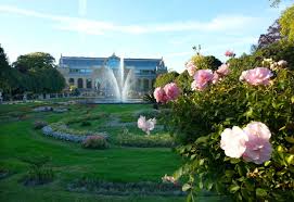 We did not find results for: Die Flora Und Der Botanische Garten In Koln Riehl