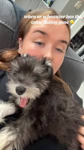 How is this the same dog😭😭 @Shauna Lyons #fy