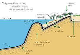 Natural Pool Plan Natural Pool Natural Swimming Pools Swimming Pool Pond
