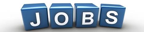 Post Your Free And Premium Classified Ads Post Your Jobs And Get Rapid Response Http Adheead Com Jobs S Entrepreneurial Job Placement Entrepreneur Success