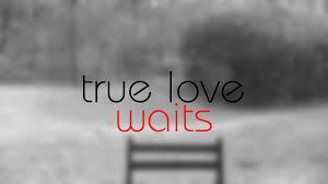 I'll drown my beliefs to have your babies i'll dress like your niece and wash your swollen feet. True Love Waits Youtube