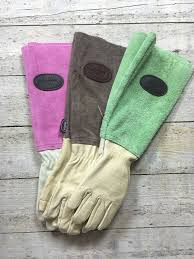 Pin By Schnu Schnu On The Golden Rabbit Leather Glove Golden Rabbit Gloves
